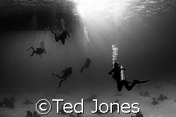 Back to the boat by Ted Jones 